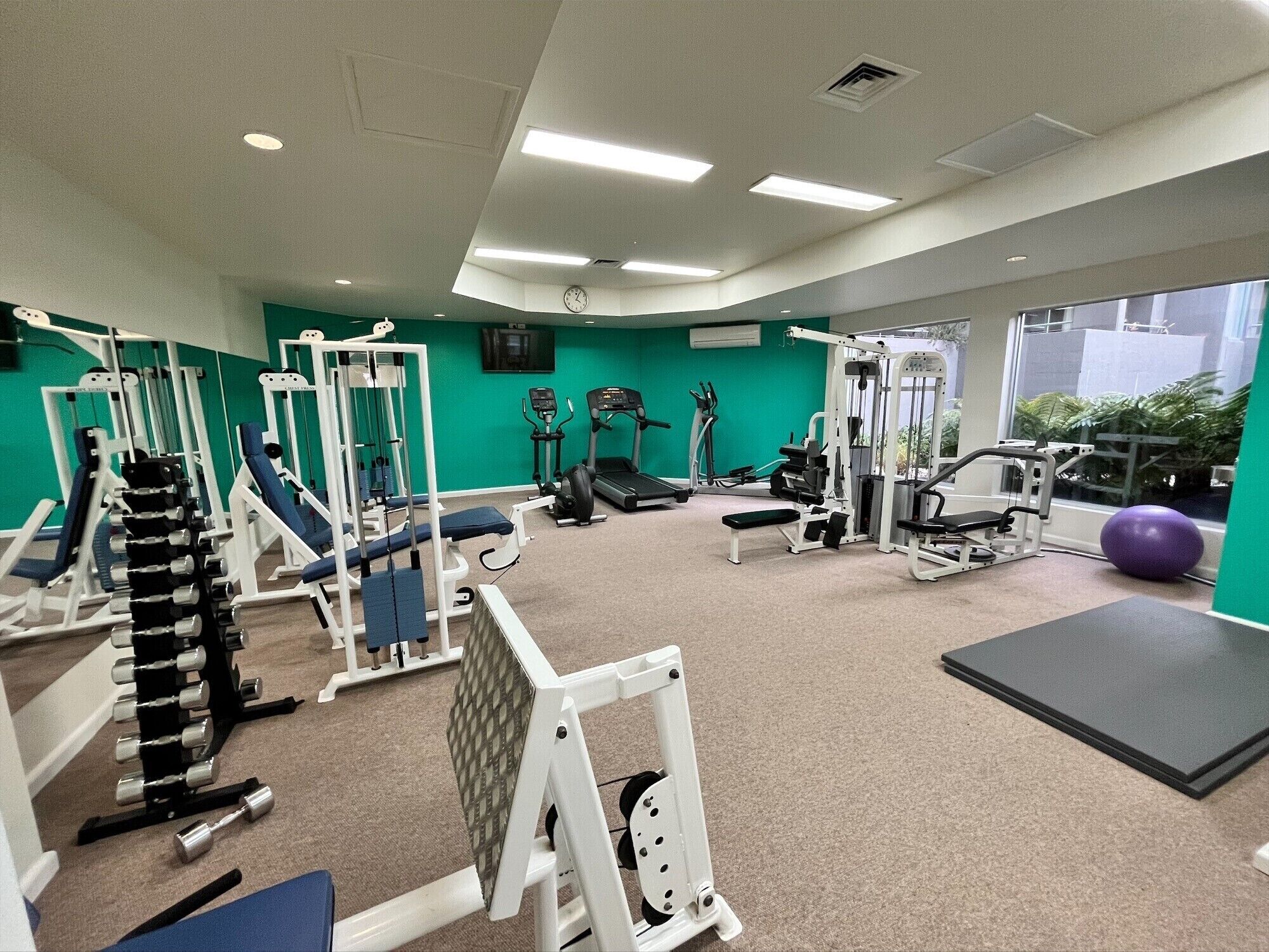A gym with various exercise equipment, a clock on the wall, and a large window with a view of greenery outside.