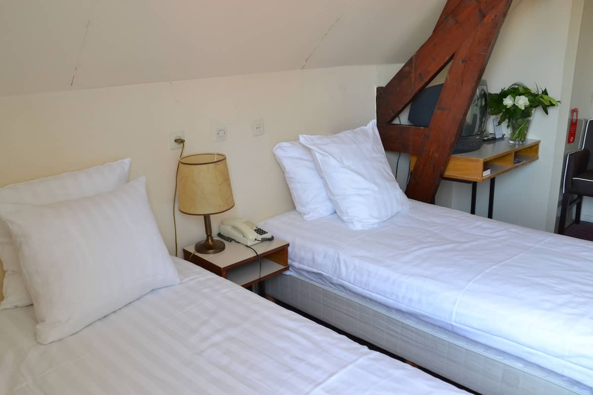 Een hotelkamer met twee enkele bedden, een nachtkastje met lamp en telefoon, een houten hoofdeinde en een klein bureau met een plant.