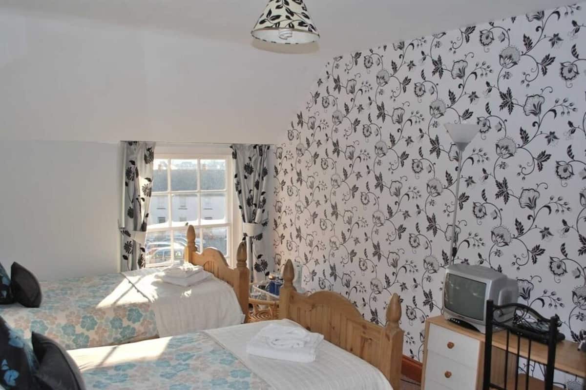A bedroom with two beds, a wooden headboard, a television, and a window with curtains.