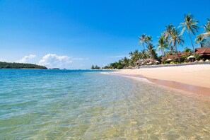 A beach with clear water, palm trees, and beach huts. - Nora Buri Resort & Spa (Koh Samui)