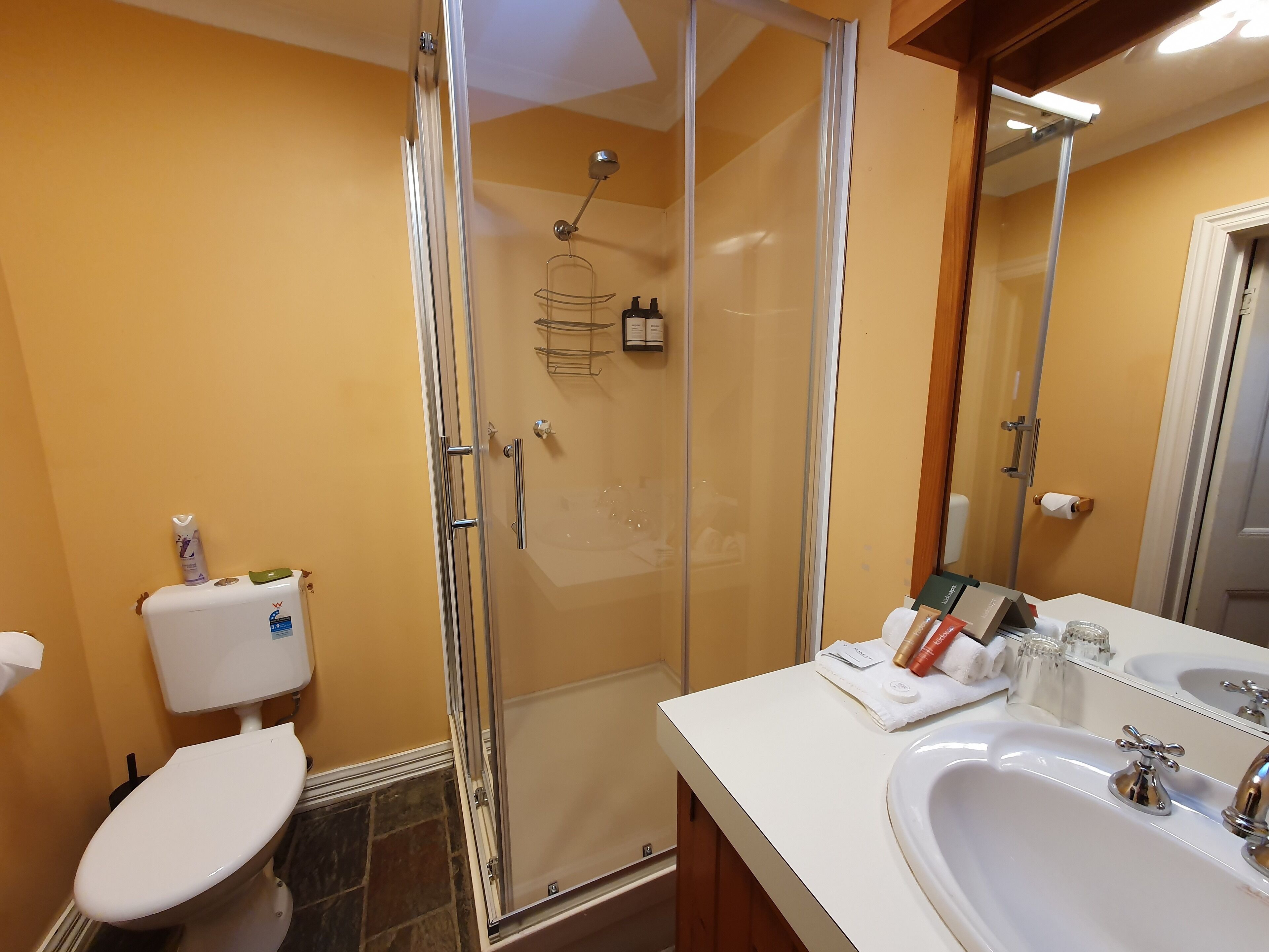 A bathroom with a glass-enclosed shower, a white toilet, and a sink with toiletries.