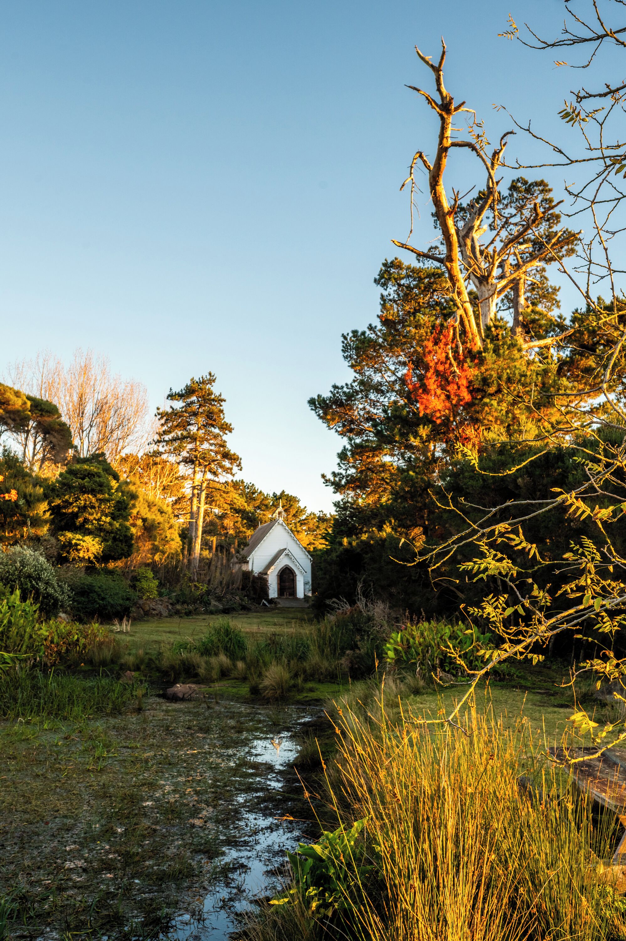 Vue sur le jardin