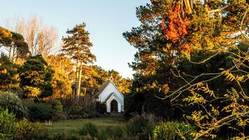 Utsikt mot trädgården