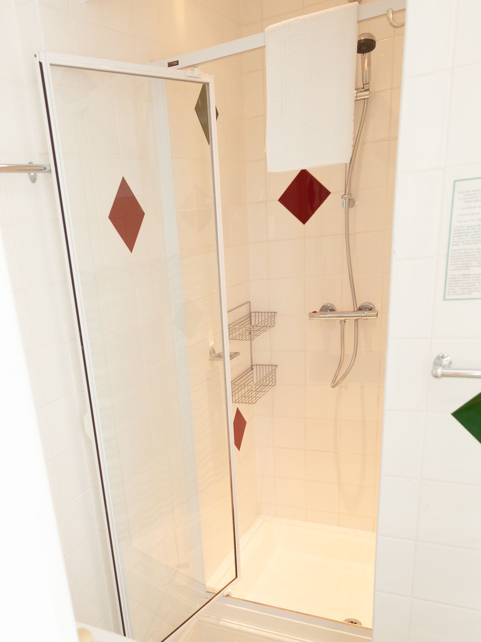 A shower area with a glass door, a showerhead, and a towel rack.