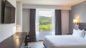 Zimmer, 1Â King-Bett | Ausblick vom Zimmer