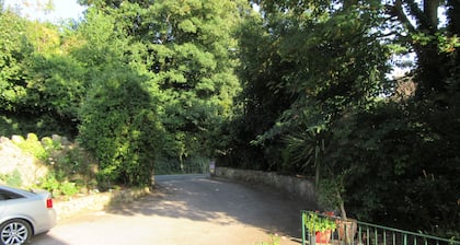 Ferndale - Lodge