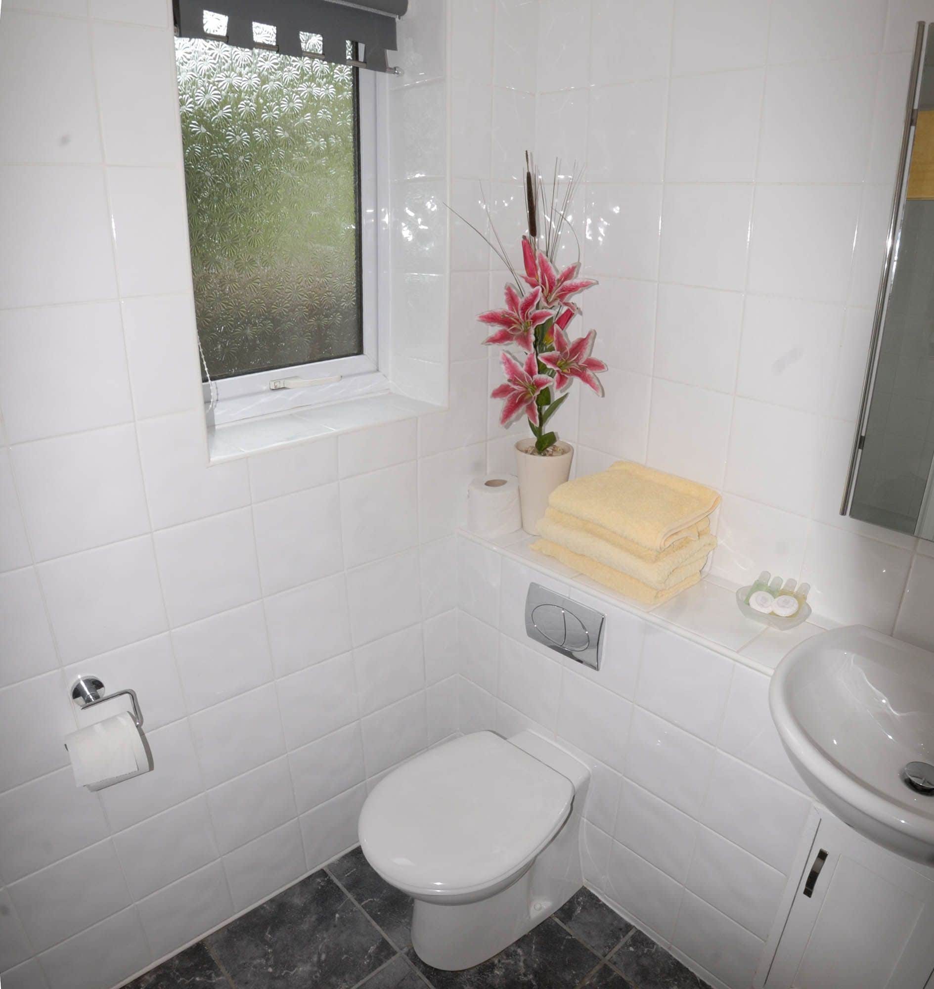 Een kleine, schone badkamer met witte tegels, een toilet, een wastafel, een raam met gebroken glas en een bloempot met plant.