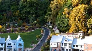 A residential area with houses, a winding road, and a Christmas tree. - Haven House (Torquay)