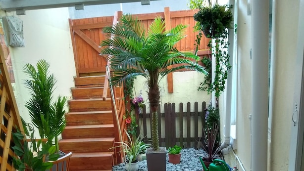 A wooden deck with a staircase, potted plants, and outdoor exercise equipment. - Haven House (Torquay)