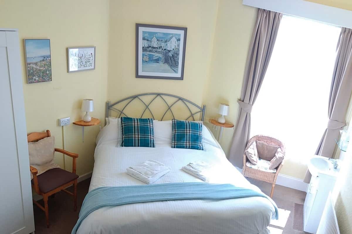 Habitación doble estándar | Tabla de planchar con plancha, wifi gratis y ropa de cama