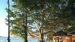 A house with a large tree in the front yard, a view of the sea, and a small garden with a potted plant. - Anahata Resort Samui (Koh Samui)