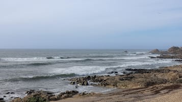 Servicio de la propiedad