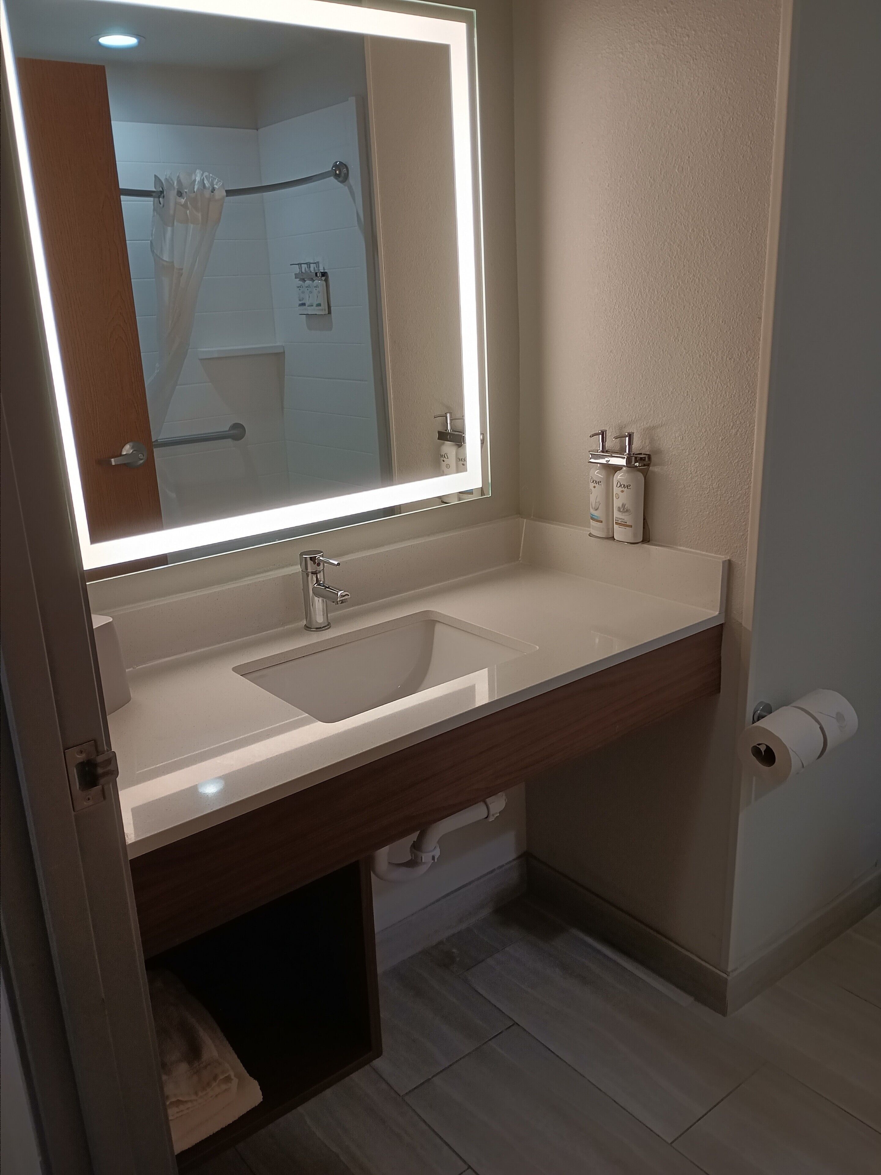 combined shower/bathtub, free toiletries, hair dryer, towels