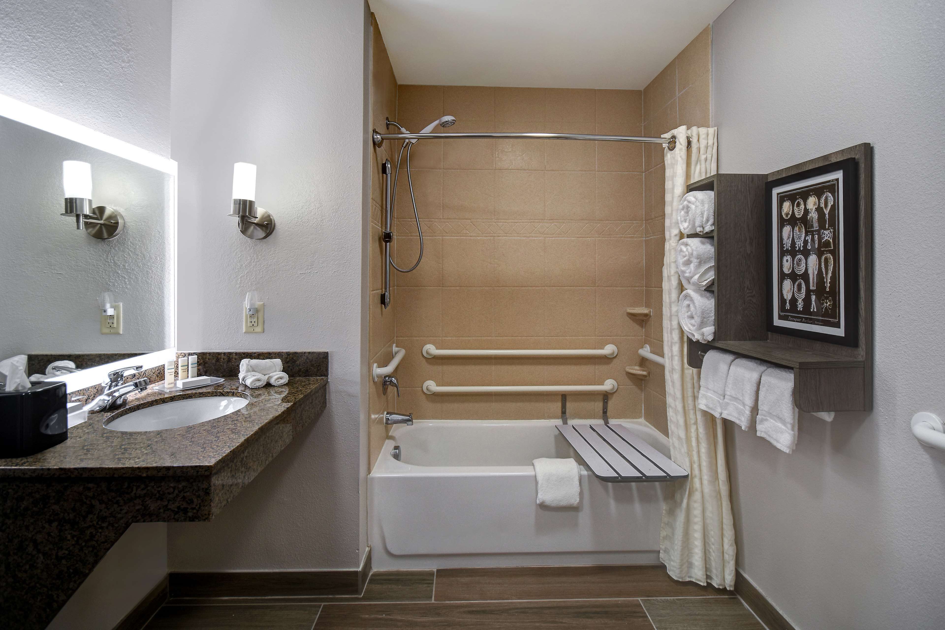 suite, 1 king bed, accessible, bathtub | bathroom | combined shower/bathtub, free toiletries, hair dryer, towels
