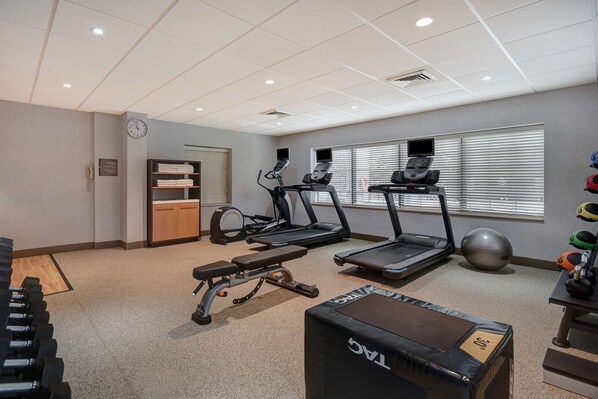 A gym with treadmills, a bench, dumbbells, and a stationary bike.