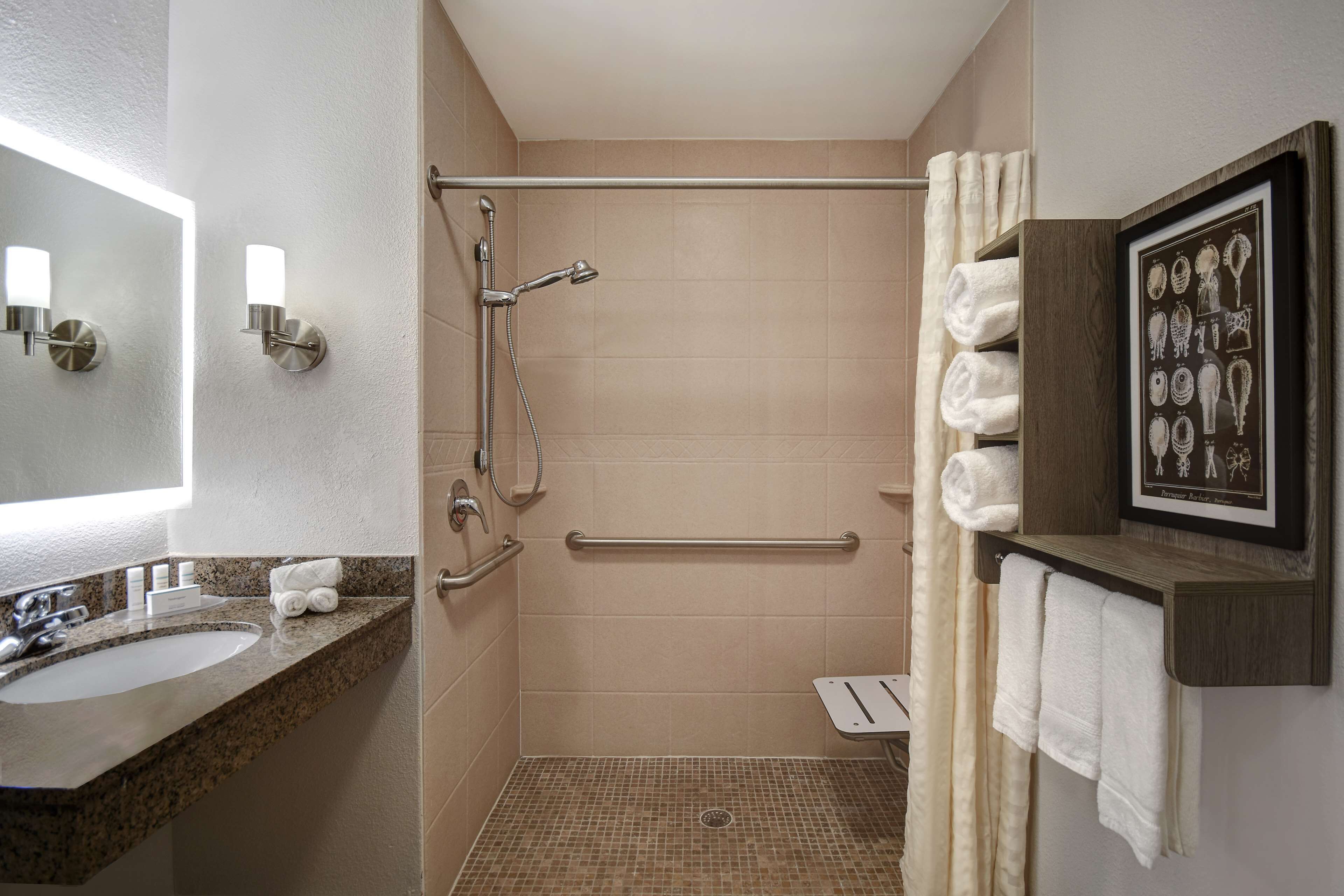 suite, 2 bedrooms, non smoking (roll-in shower) | bathroom shower