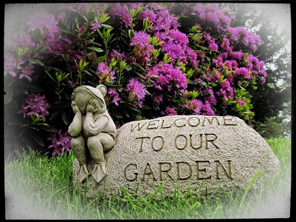 Foto - Hedgefield House