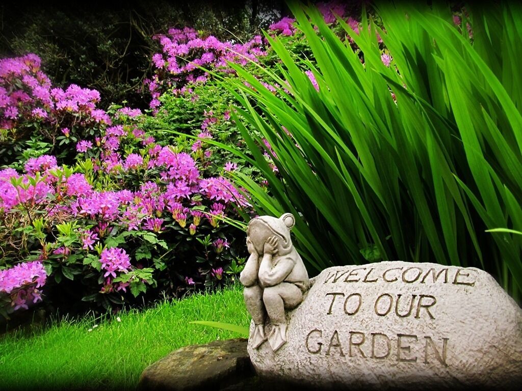 Foto - Hedgefield House