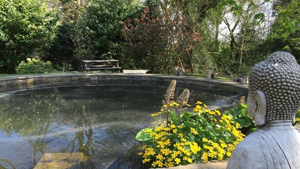 A serene garden with a stone Buddha statue, a pond, and yellow flowers. - Hedgefield House Hotel (Blaydon on Tyne)