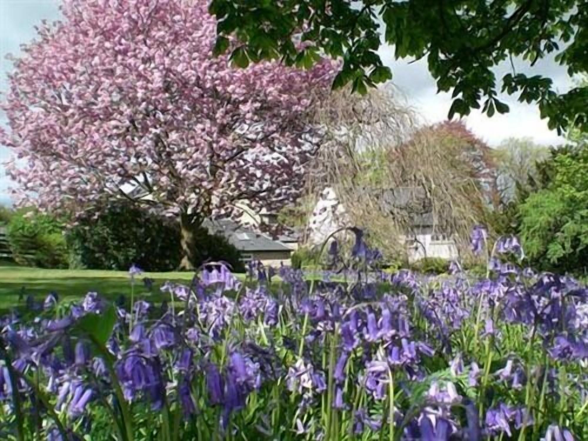 Foto - Hedgefield House