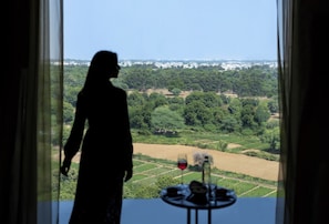 Presidential Suite | View from room