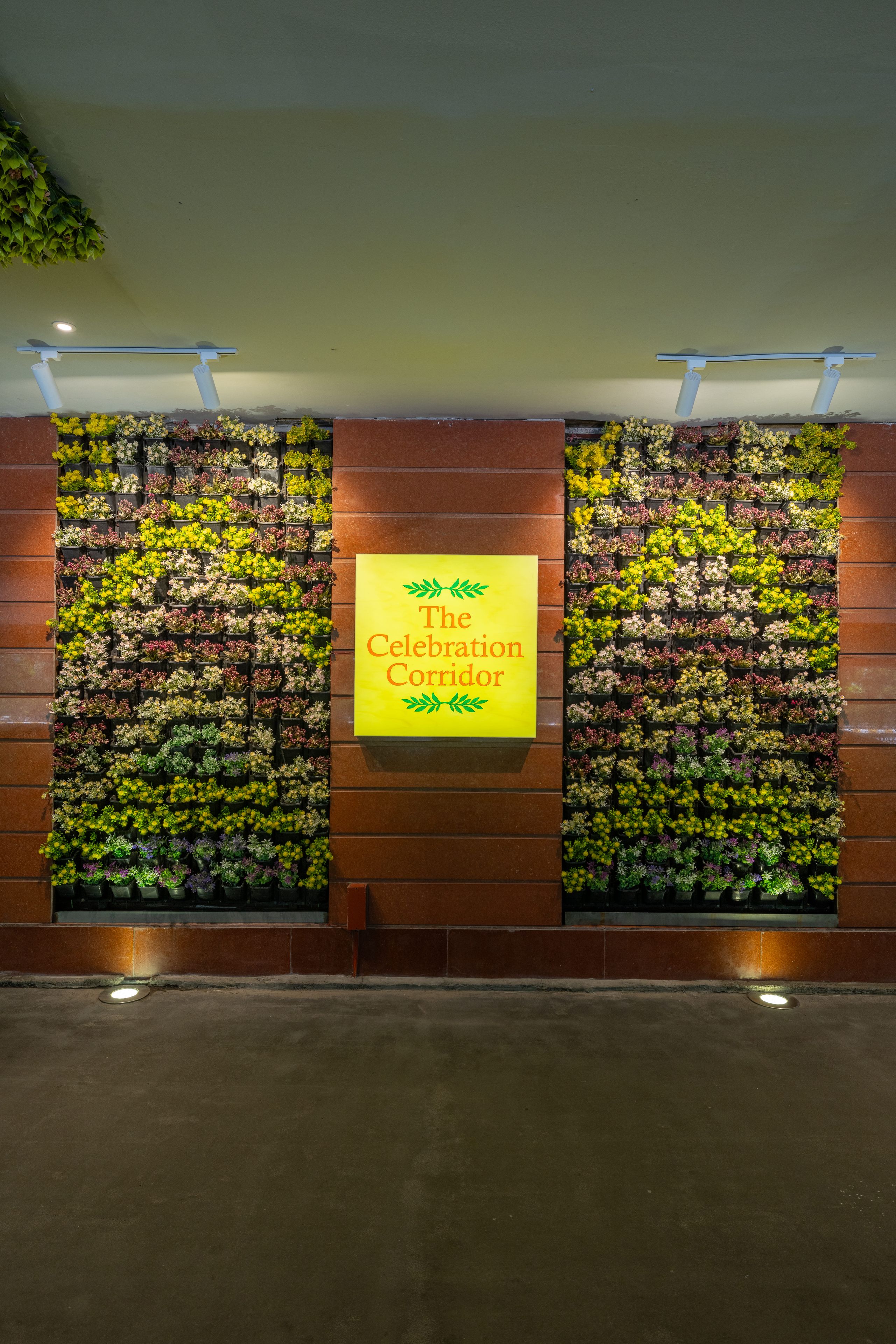 Een muur met een bord waarop staat 'The Celebration Corner', omringd door diverse potplanten.