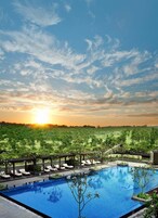 Outdoor pool, pool umbrellas, pool loungers