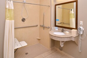 Room, Accessible, Non Smoking | Bathroom | Combined shower/bathtub, free toiletries, hair dryer, towels - Hampton Inn Van Horn (Van Horn)