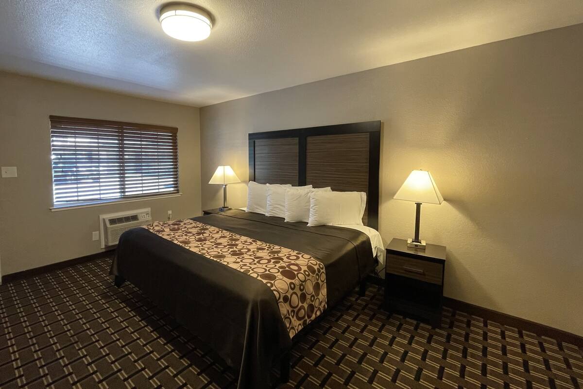 A hotel room with a bed, two bedside lamps, a window with blinds, a heater, and a patterned carpet.