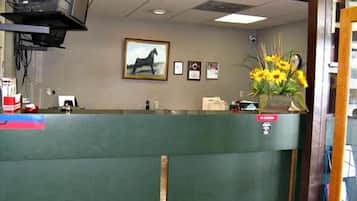 A reception desk with a framed horse painting, a flower vase, and a security camera on the wall.