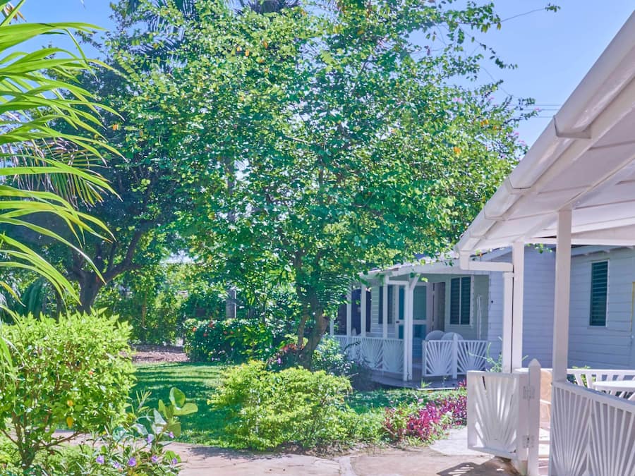 Una casa blanca amb un porxo cobert i un jardí ple de plantes variades i un arbre.