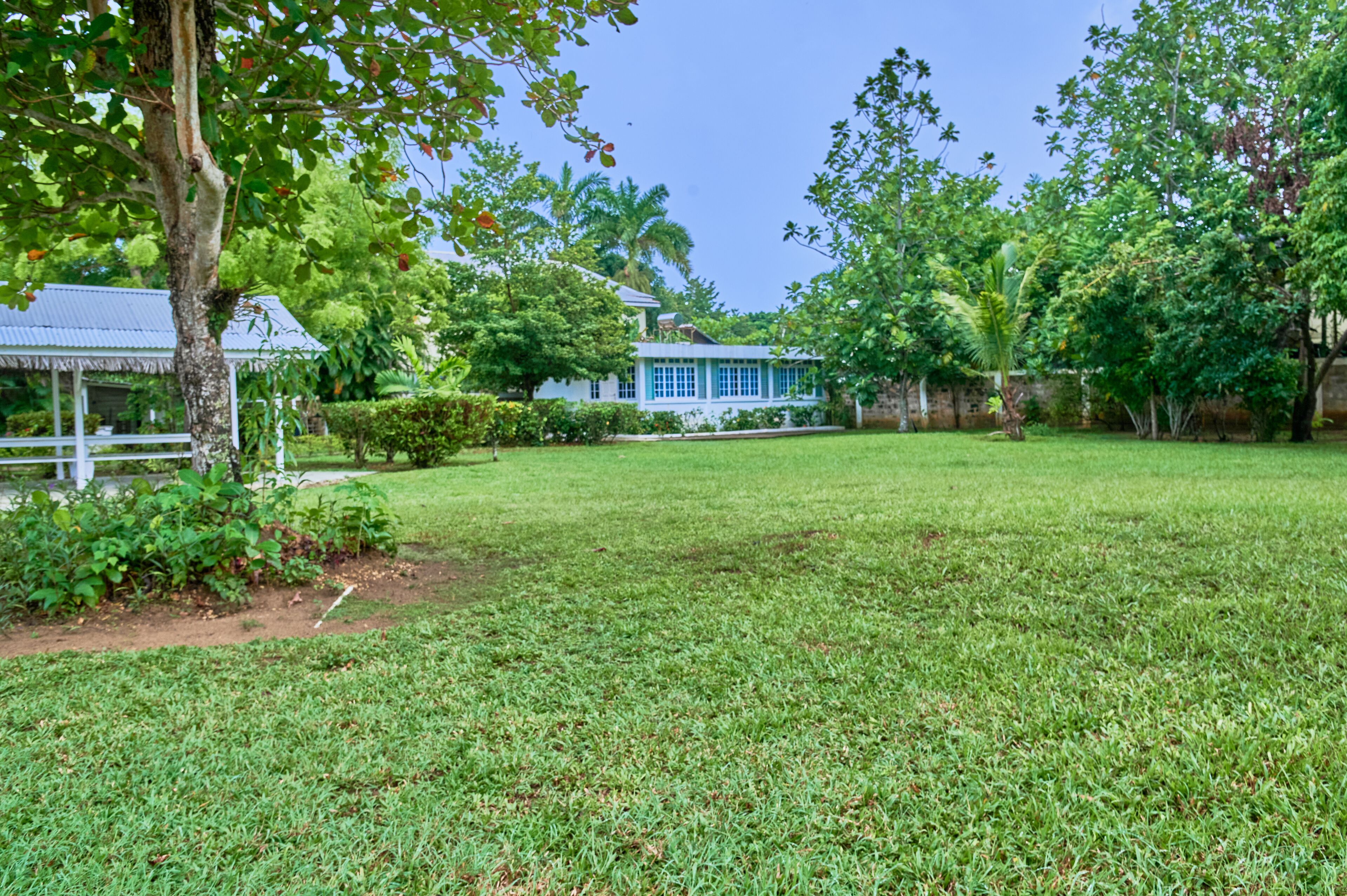 A lush green lawn with a white gazebo and a blue building with a thatched roof.