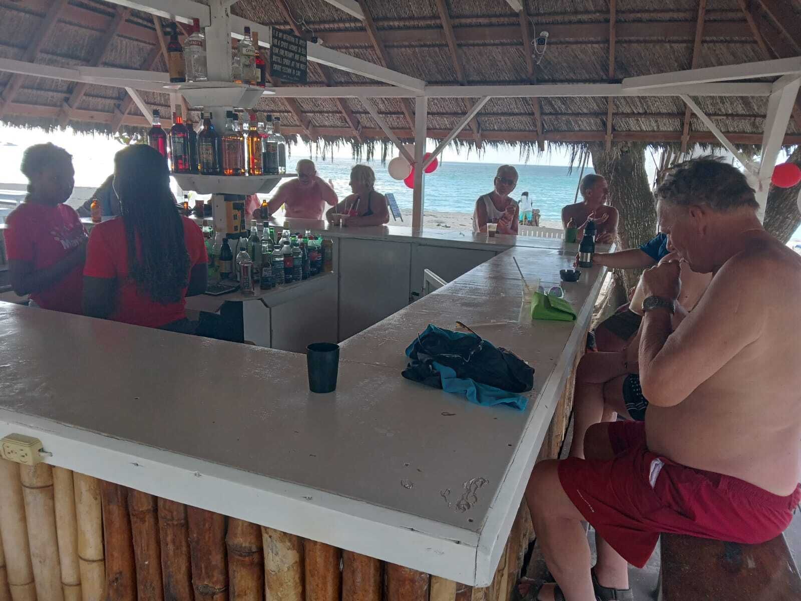 A beachside bar with a thatched roof, a counter with various bottles, and a view of the ocean.