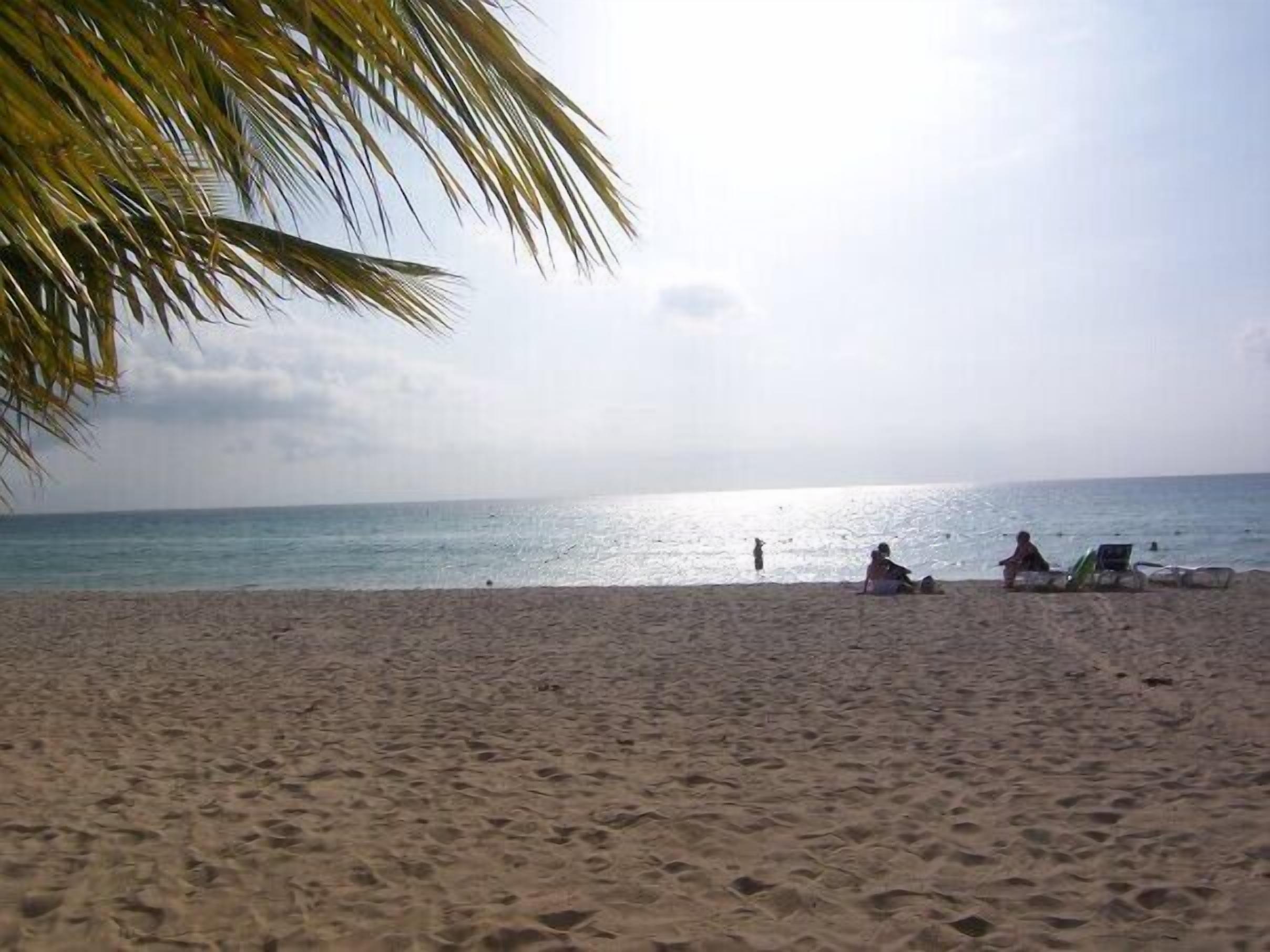 Een strand met een palmboom, enkele mensen en strandstoelen.