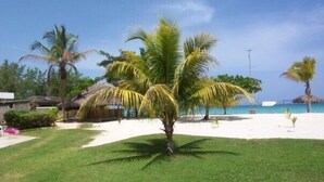 A tropical garden with a palm tree, white sand beach, and thatched-roof structures. - The Yellow Bird (Negril)
