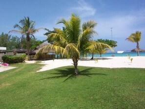 Property grounds - The Yellow Bird (Negril)