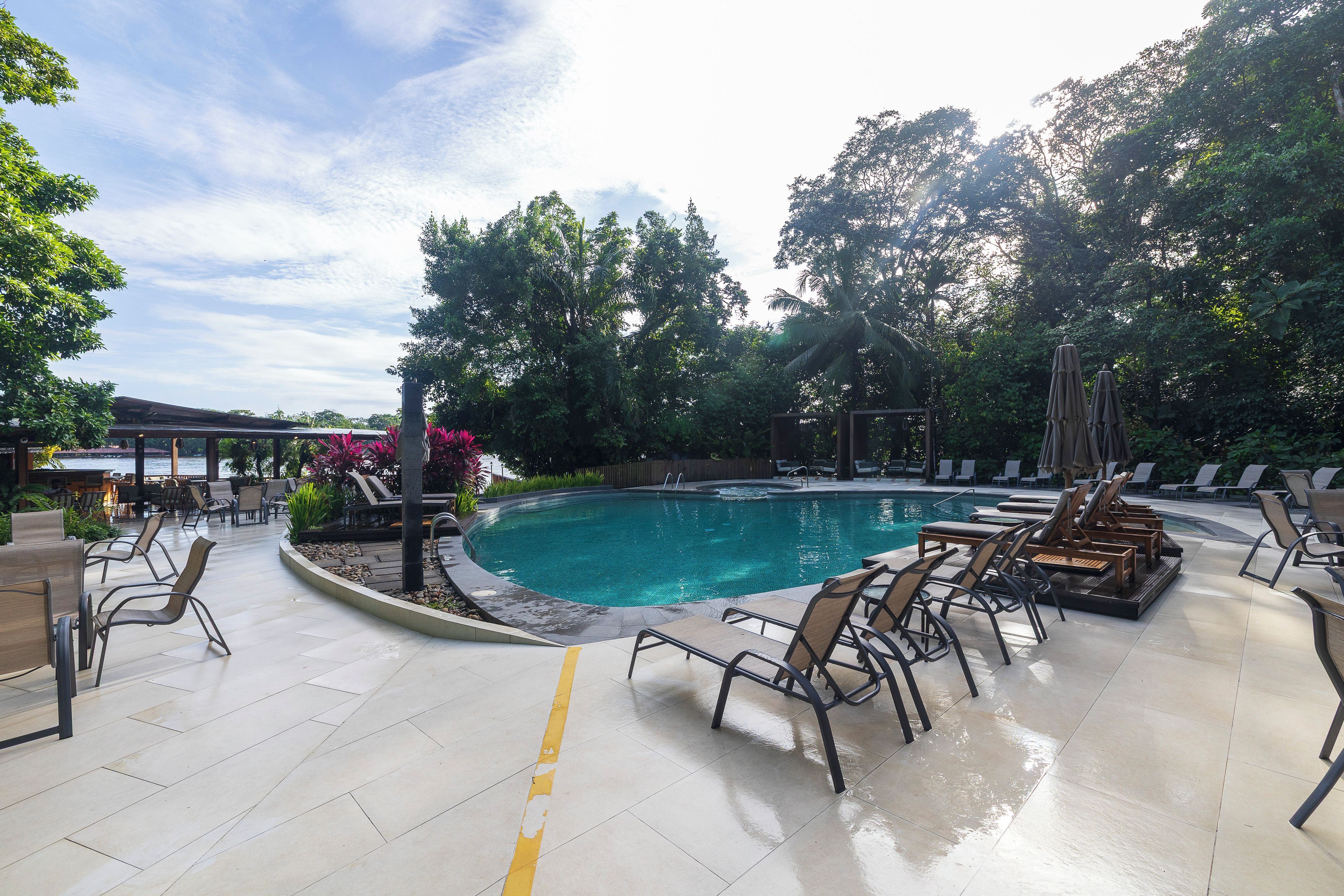Zona junto a la piscina con sillones de descanso y una piscina rodeada de árboles.