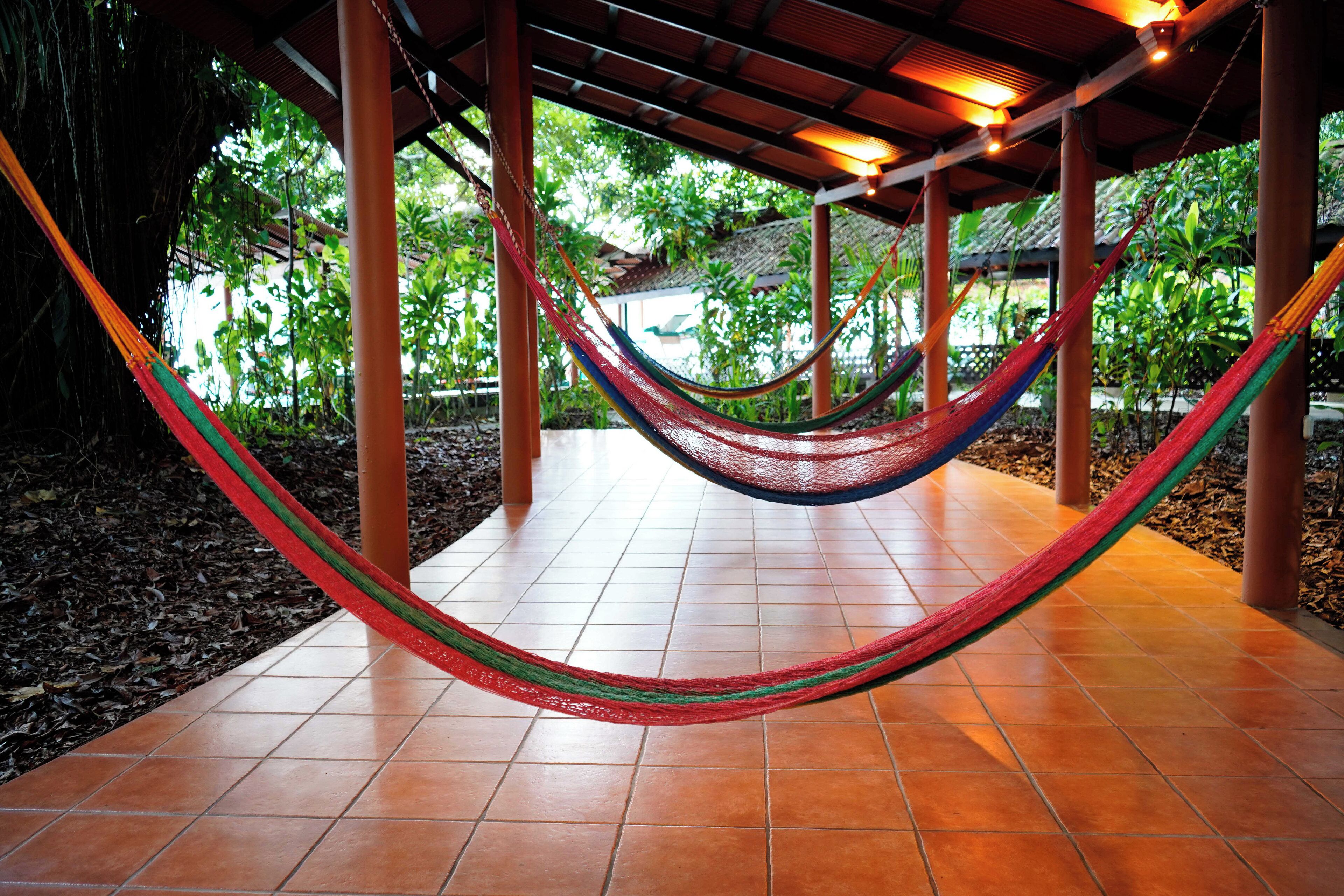 Foto - Pachira Lodge