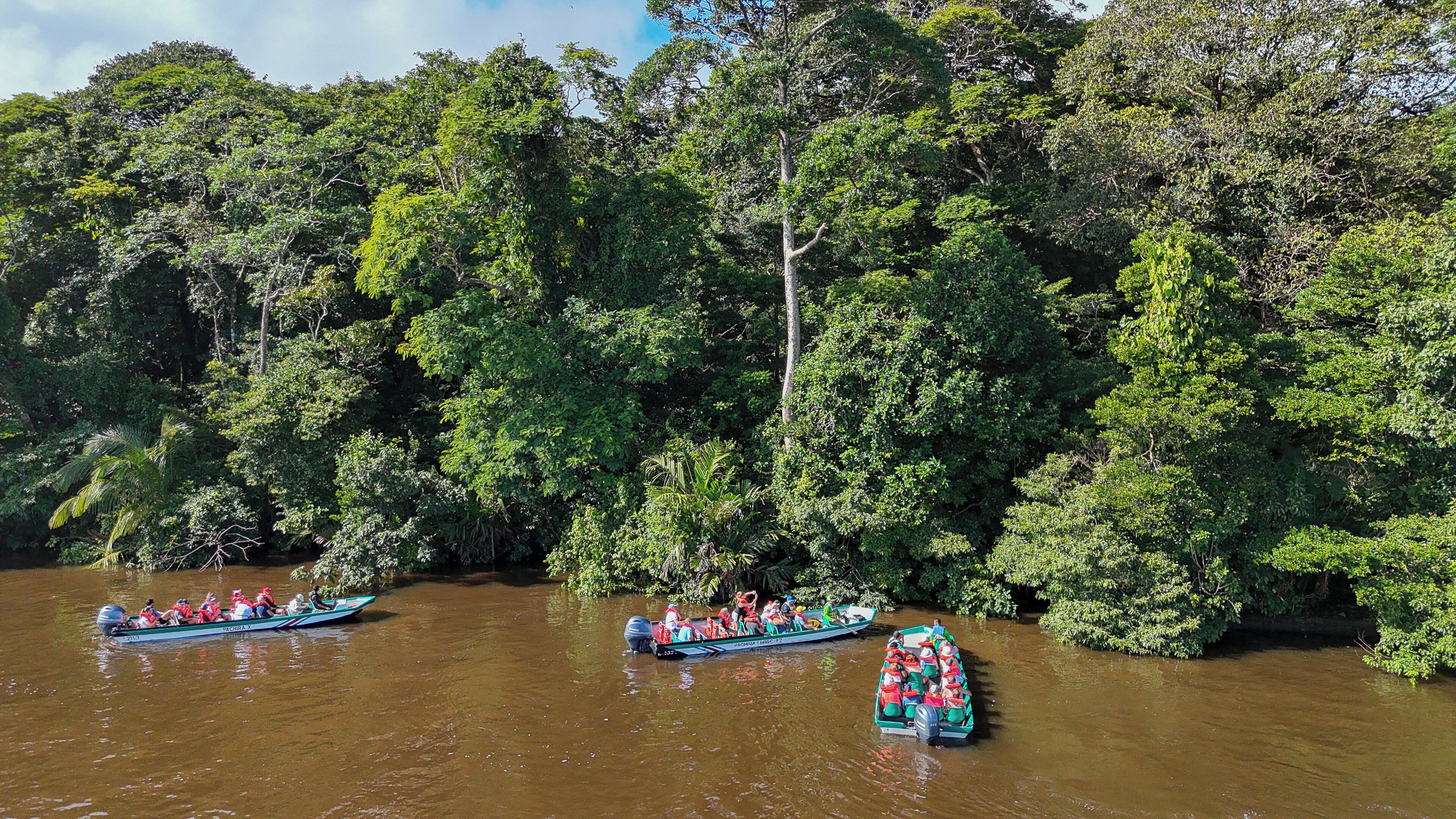 Foto - Pachira Lodge