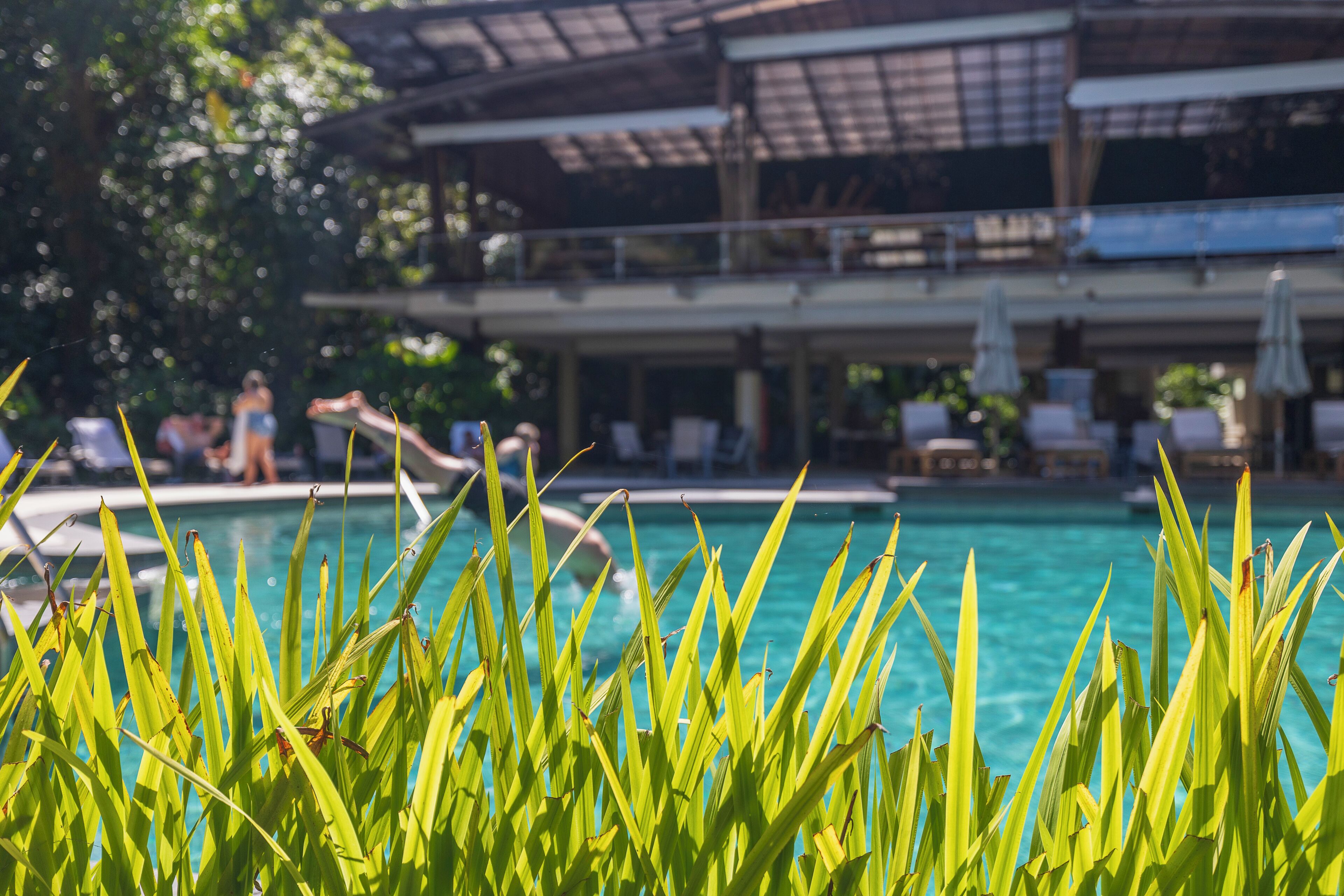 Foto - Pachira Lodge