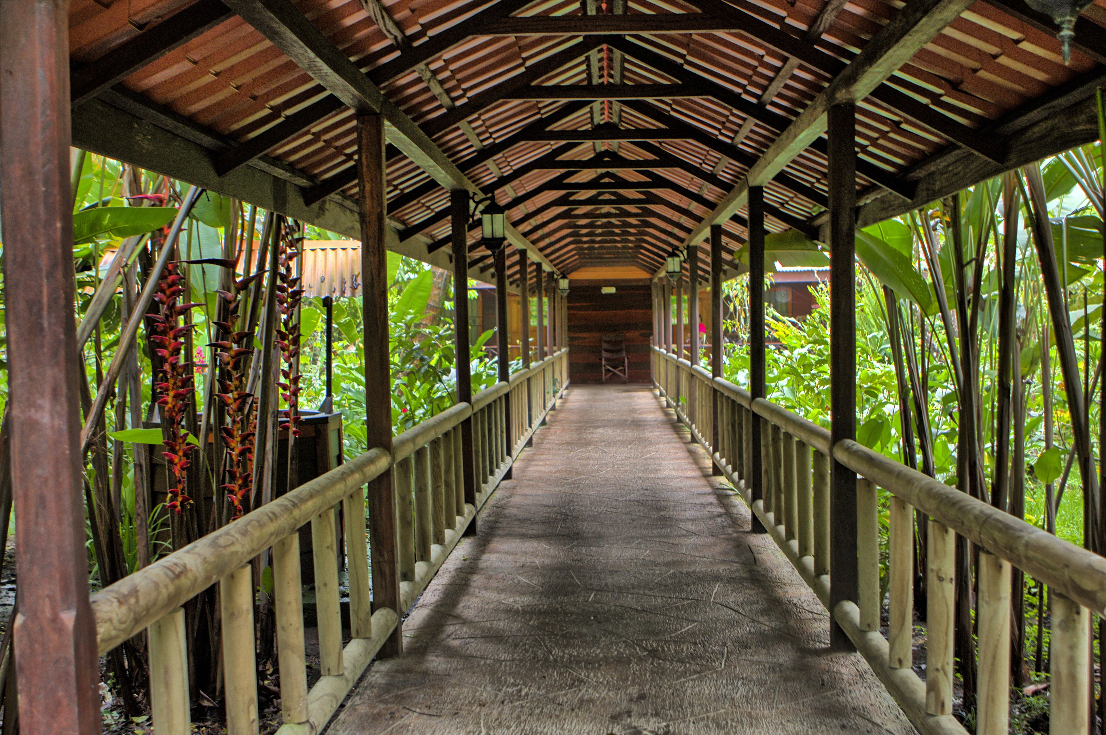 Foto - Pachira Lodge