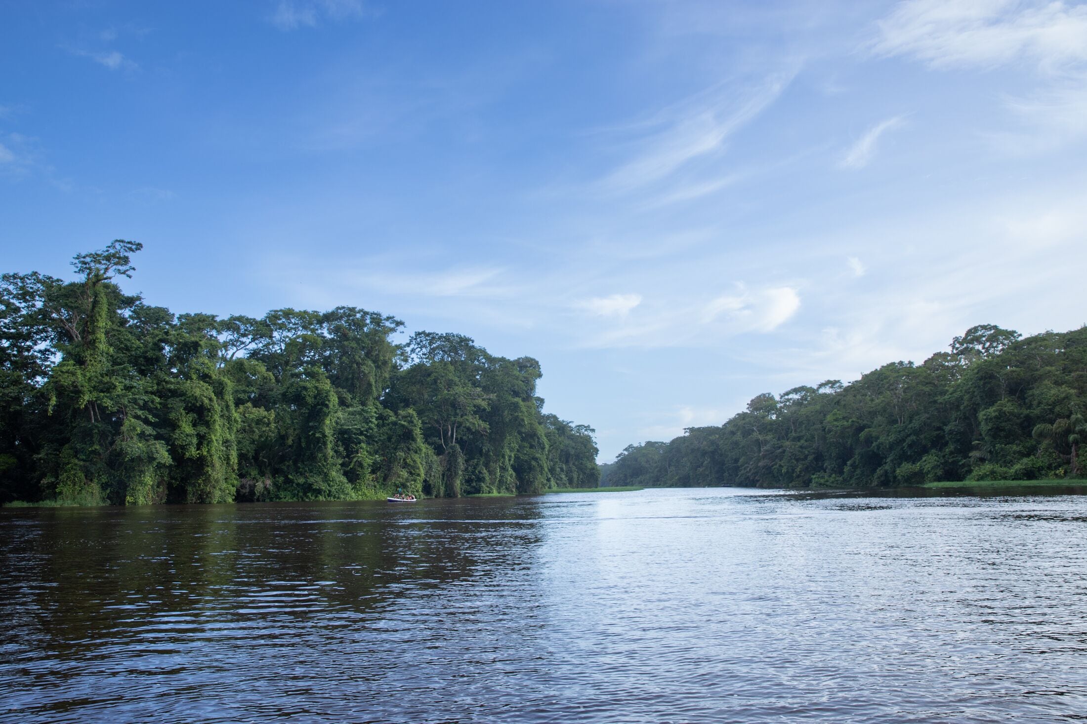 Foto - Pachira Lodge
