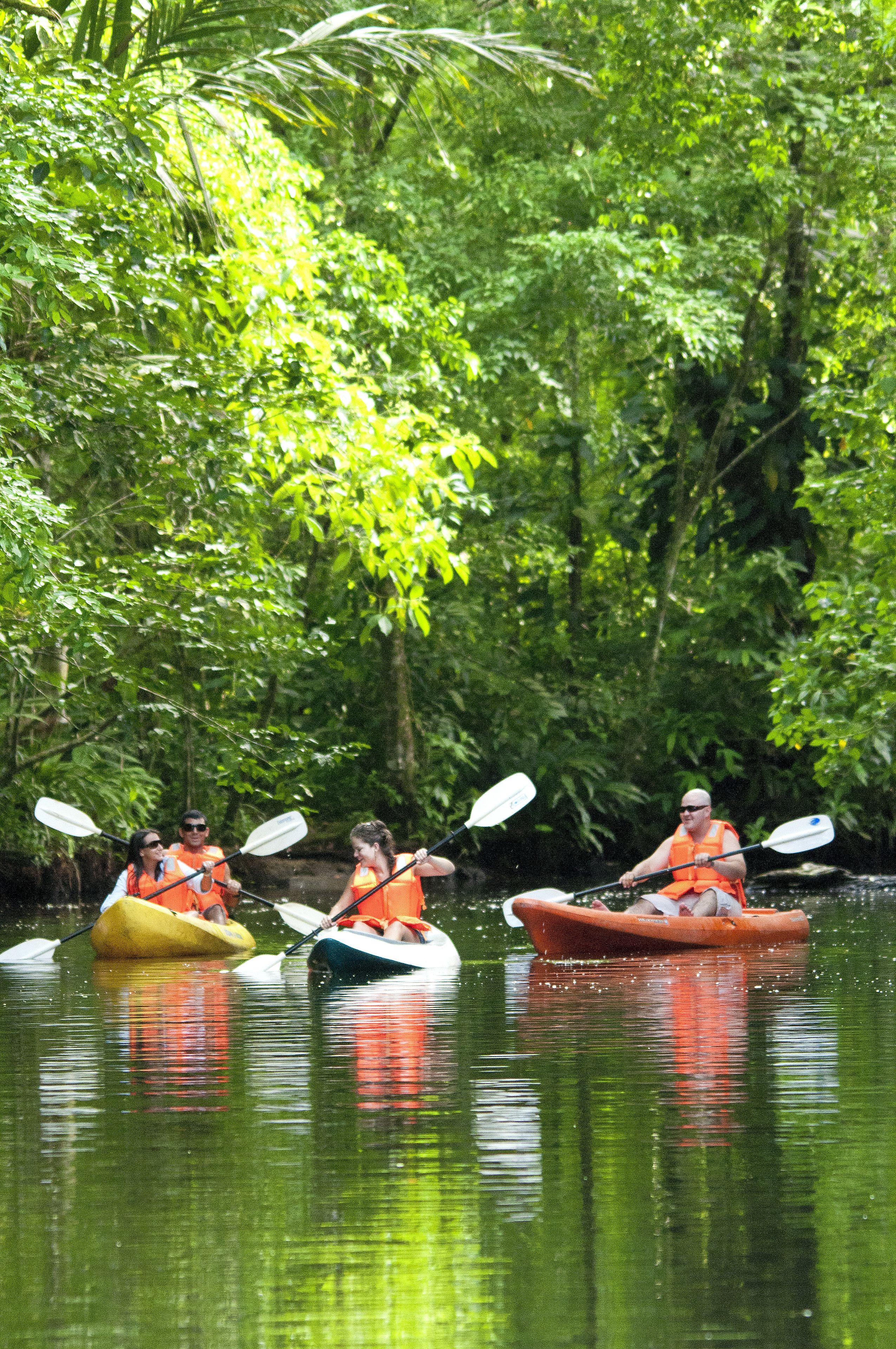 Three kayaks on a calm river surrounded by dense greenery.