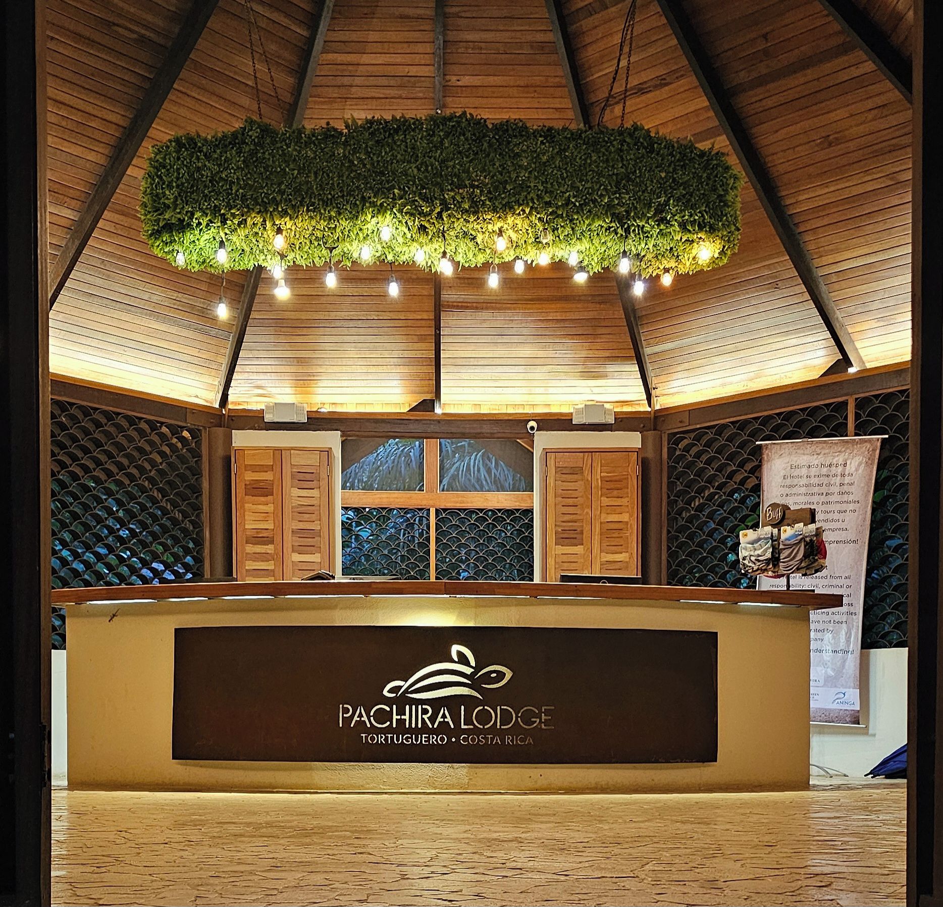 A reception desk with a logo, wooden cabinets, a green plant overhead, and a patterned wall.