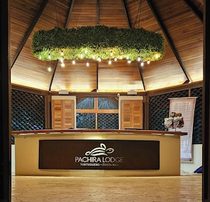 A reception desk with a logo, wooden cabinets, a green plant overhead, and a patterned wall. - Pachira Lodge (Colorado)