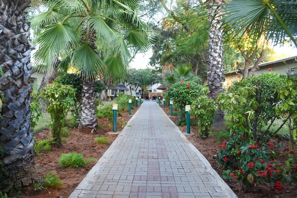 Garden view