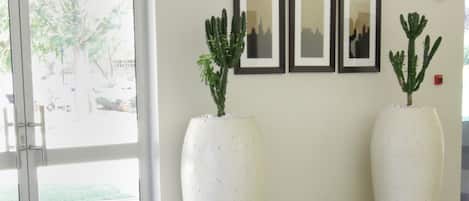 A modern lobby with a white sofa, two large cactus plants, and three framed pictures on the wall.