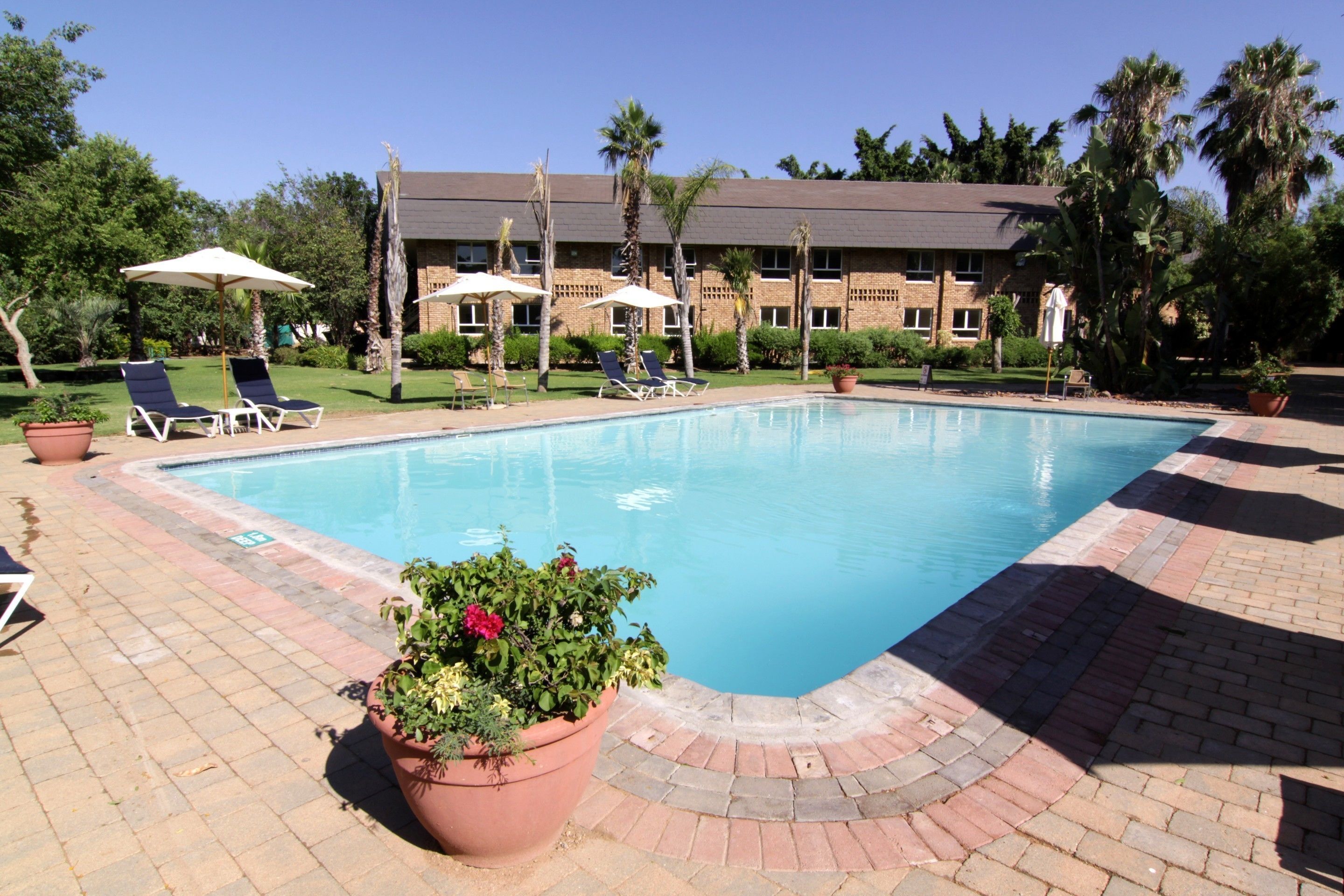 Outdoor pool, pool umbrellas, pool loungers