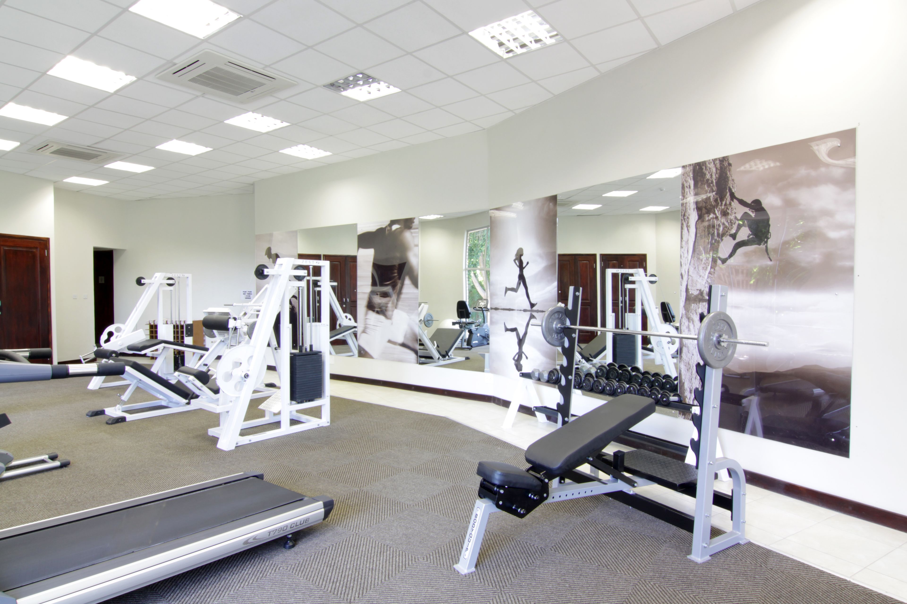 A gym with various exercise equipment, including treadmills, weight machines, and dumbbells.