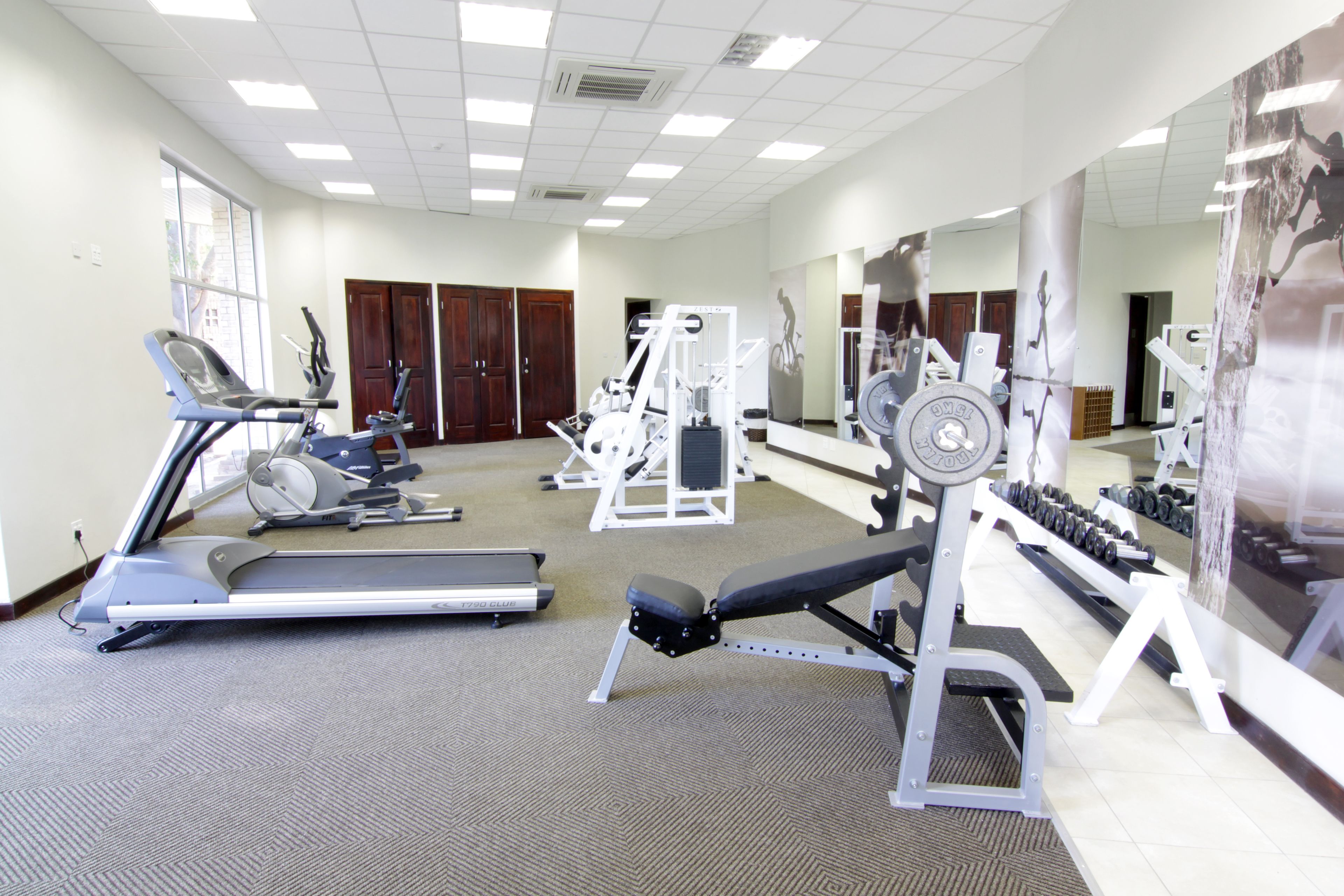 Un gimnasio con cintas de correr, máquinas de pesas y mancuernas.